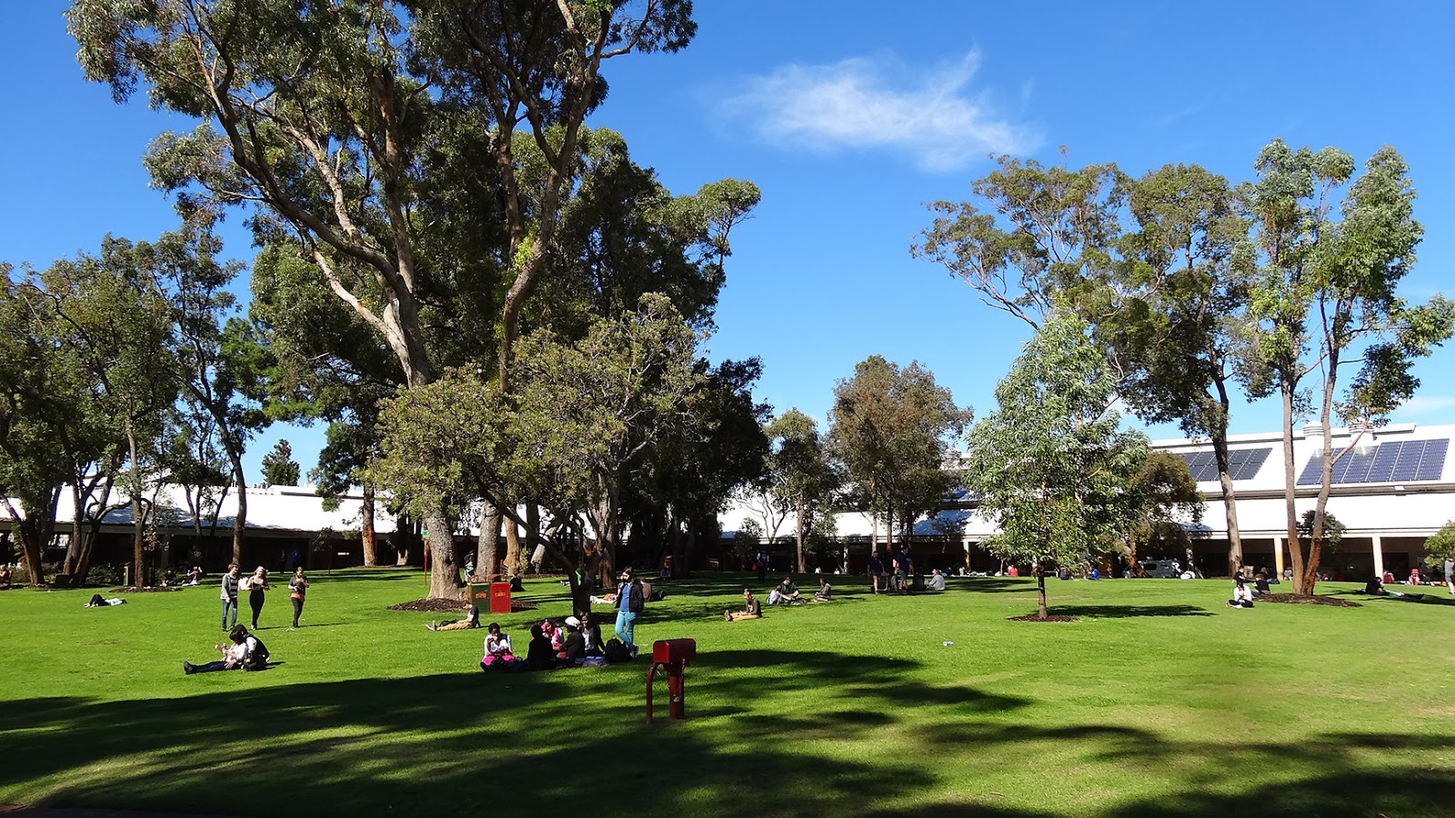 Murdoch University